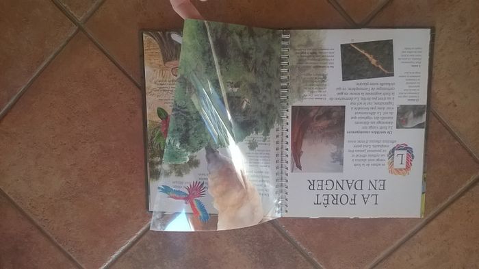 livre la fôret vierge - photo numéro 3