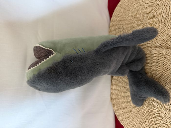 Grand requin - Tout autour du monde - photo numéro 4