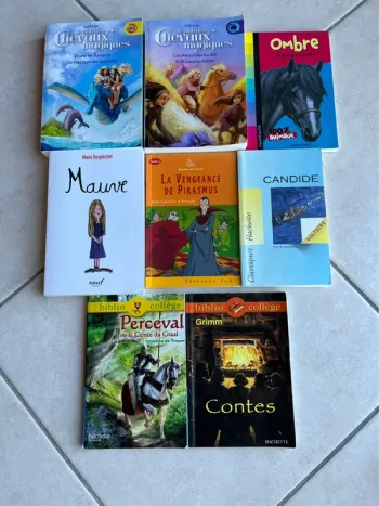 Livres ados