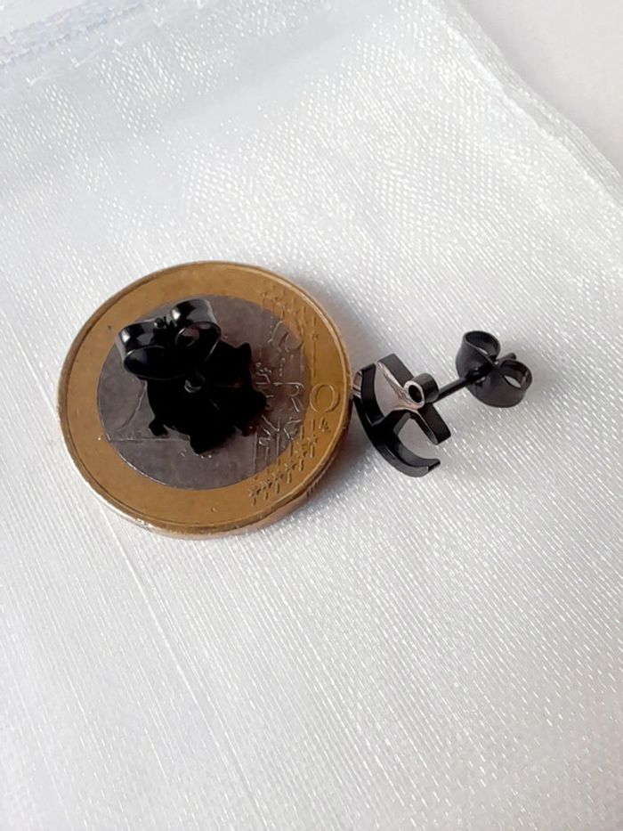 Puce d oreilles asymétriques marin - photo numéro 3