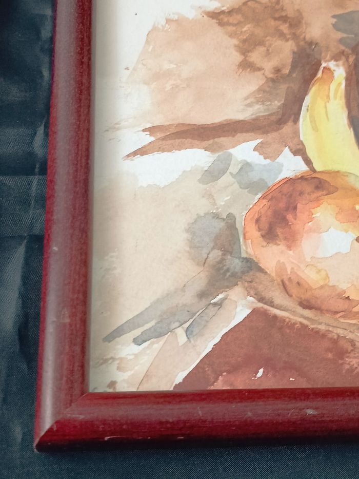 Nature morte encadrée - photo numéro 4