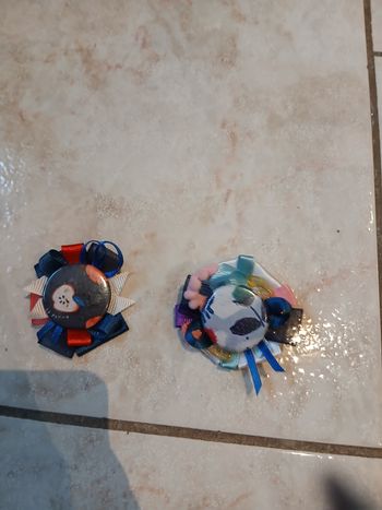 Pince cheveux créatrice Catimini 