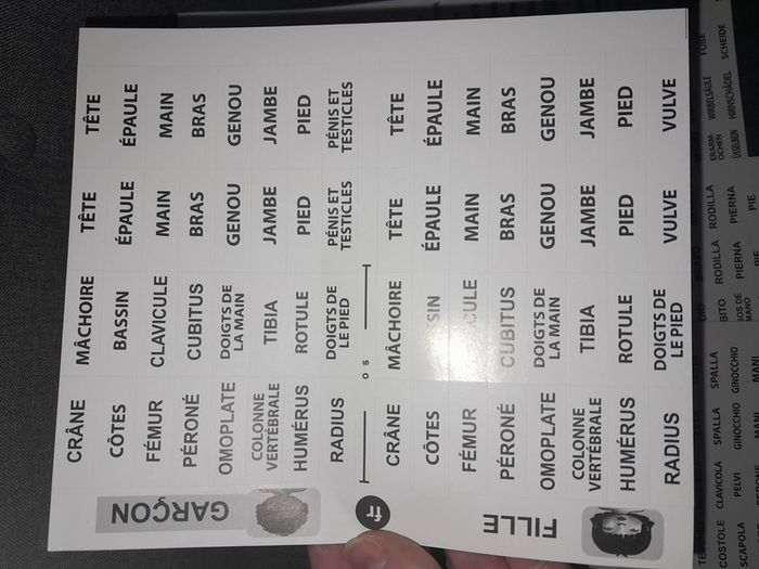 Miniland educational - puzzle schéma corporel inclusif fille / garçon - photo numéro 9