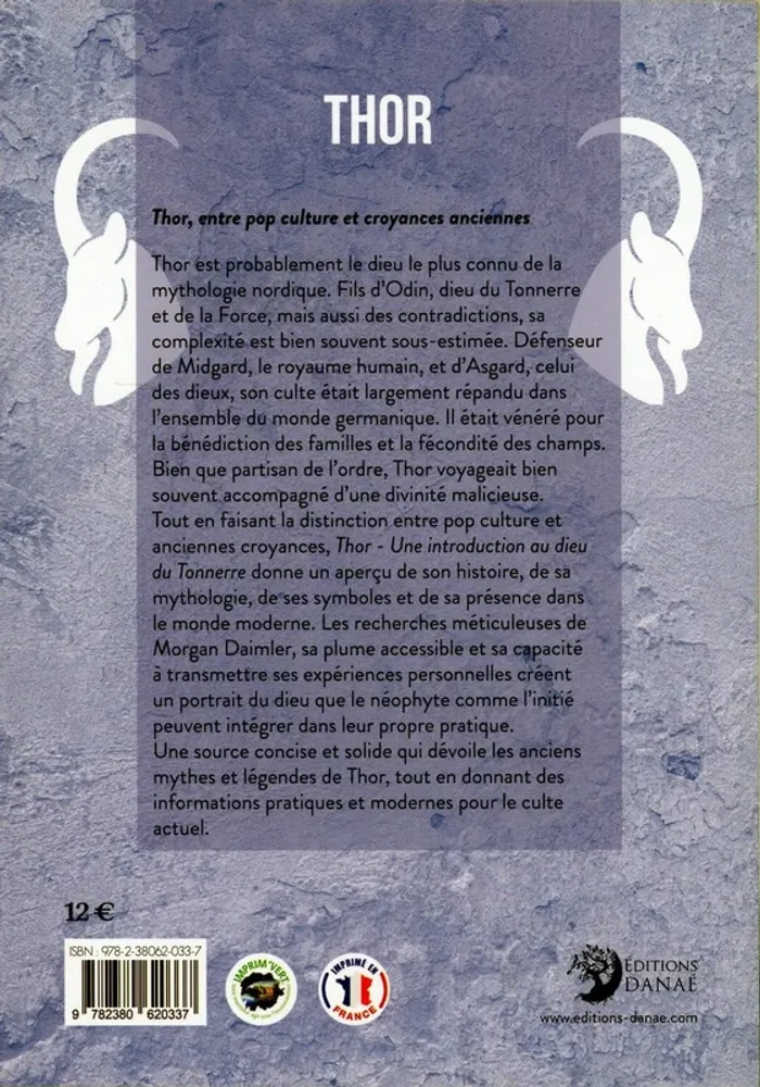 Thor - Introduction au dieu du Tonnerre - photo numéro 2