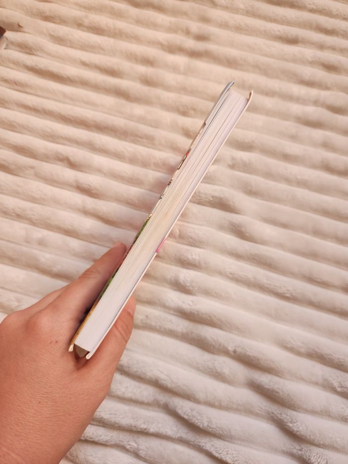 📚 Les Jumelles Tome 6 – Les jumelles mènent le jeu (Bibliothèque Rose) - photo numéro 2