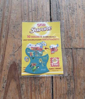 Améri'magnet Savane Miami Nouvelle Orléans