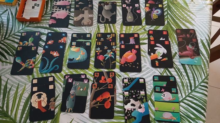 Mistigri - photo numéro 2