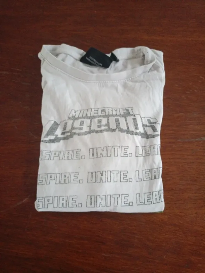 Tee shirt Minecraft