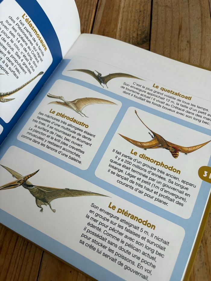 Les dinosaures - photo numéro 10