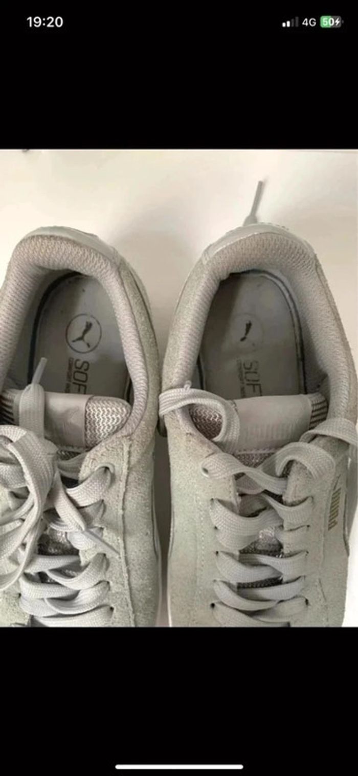 Puma kaki clair - photo numéro 3