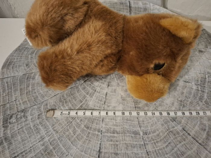 Peluche ours - photo numéro 5