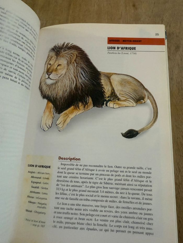 Bibliothèque du naturaliste encyclopédie livre rare Les félins Robert Dallet panthères wwf - photo numéro 3