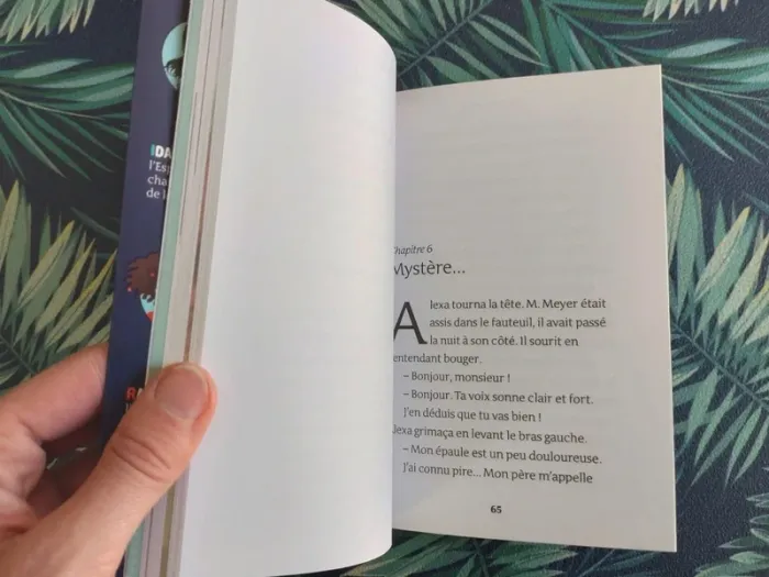 Livre Kinra Girls, Le chat fantôme - photo numéro 6