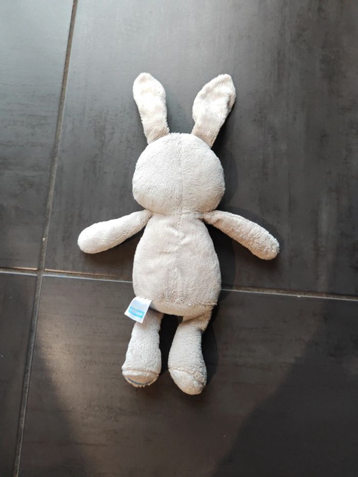Lapin klorane - photo numéro 2