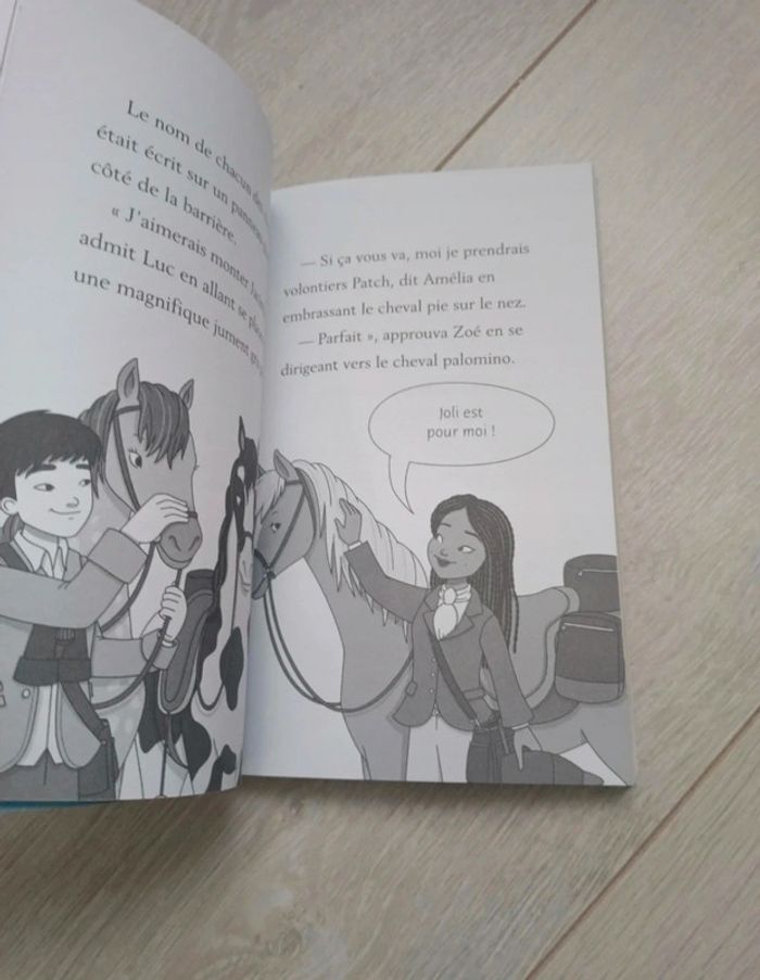 🐎 Lot de 2 livres équitation 🐎 - photo numéro 9