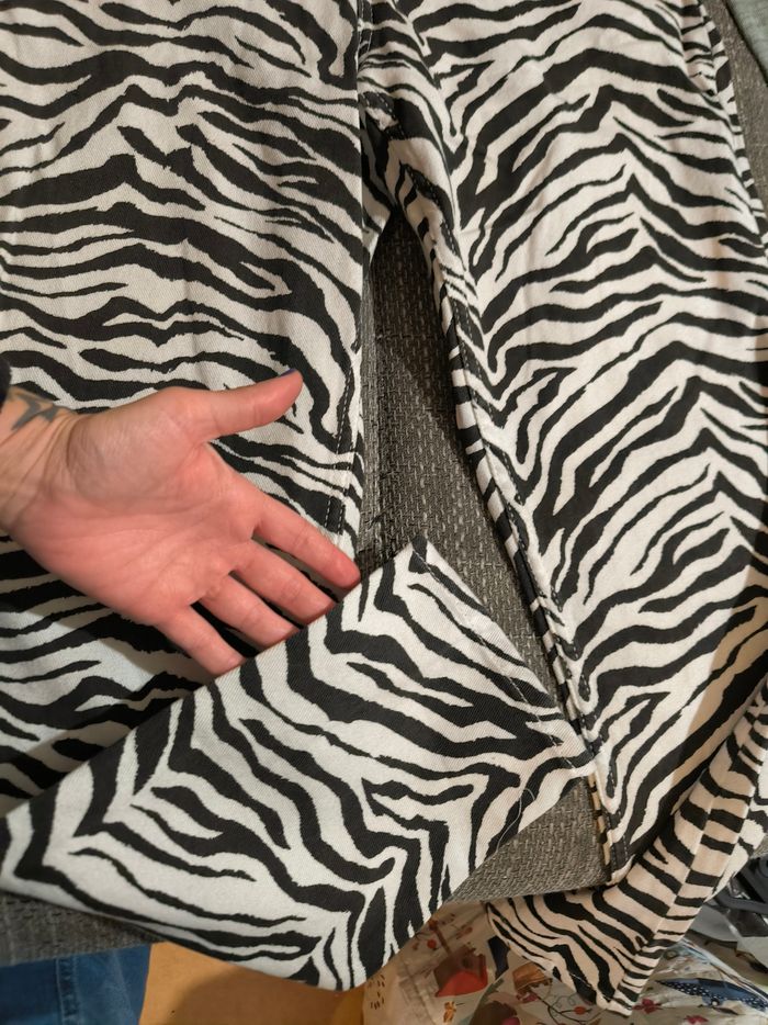 Jean zébré - photo numéro 2