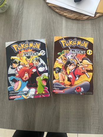 Lot de deux livres Pokémon