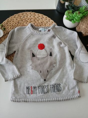 Gros pull Obaïbi garçon Taille 24 mois🌿🦁