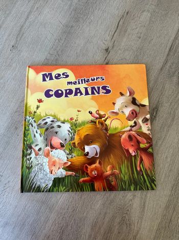Livre mes meilleurs copains