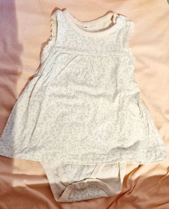 Robe t56