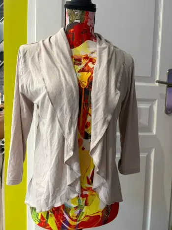 gilet à saisir