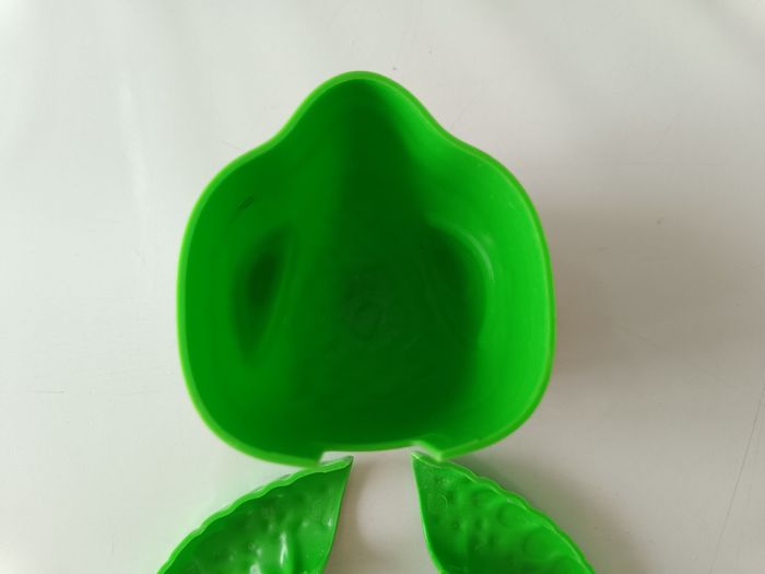 Moule de plage 🐢 - photo numéro 7