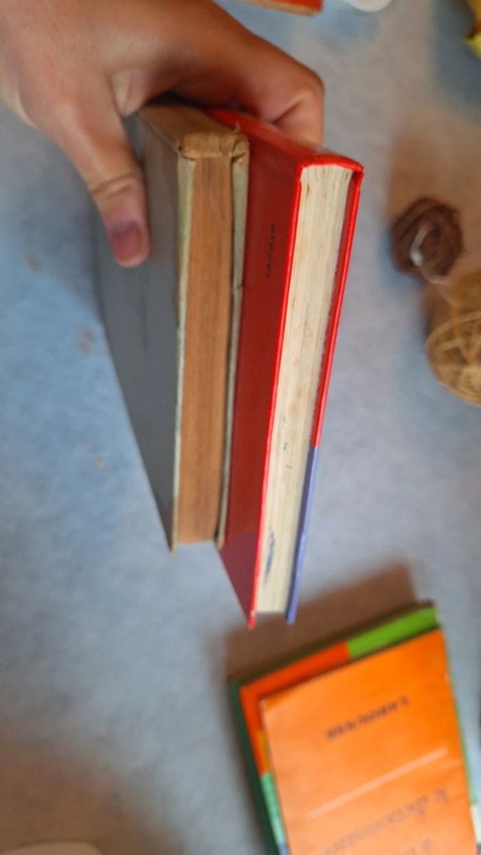 Lot de 2 livre apprendre le français - photo numéro 3