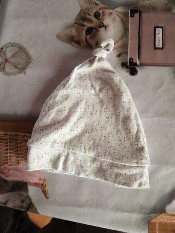 Bonnet
