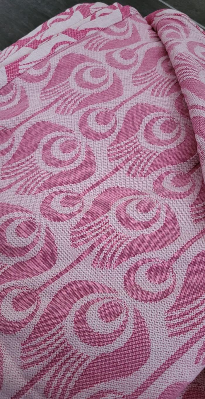 Tinge Garden Rose Garden - photo numéro 2