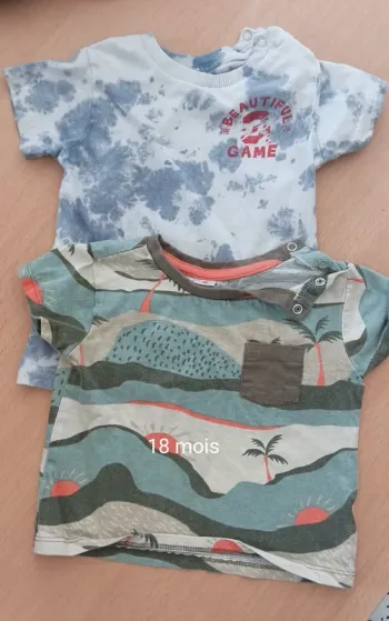 2 tee shirts