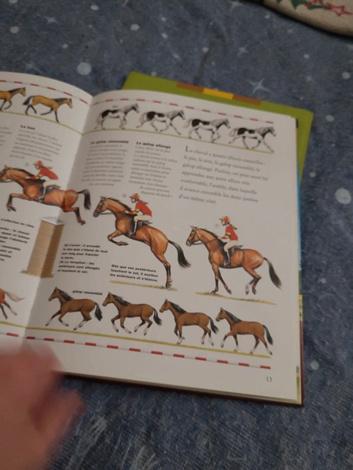 Livre animeaux les cheveux la vie des animaux - photo numéro 6