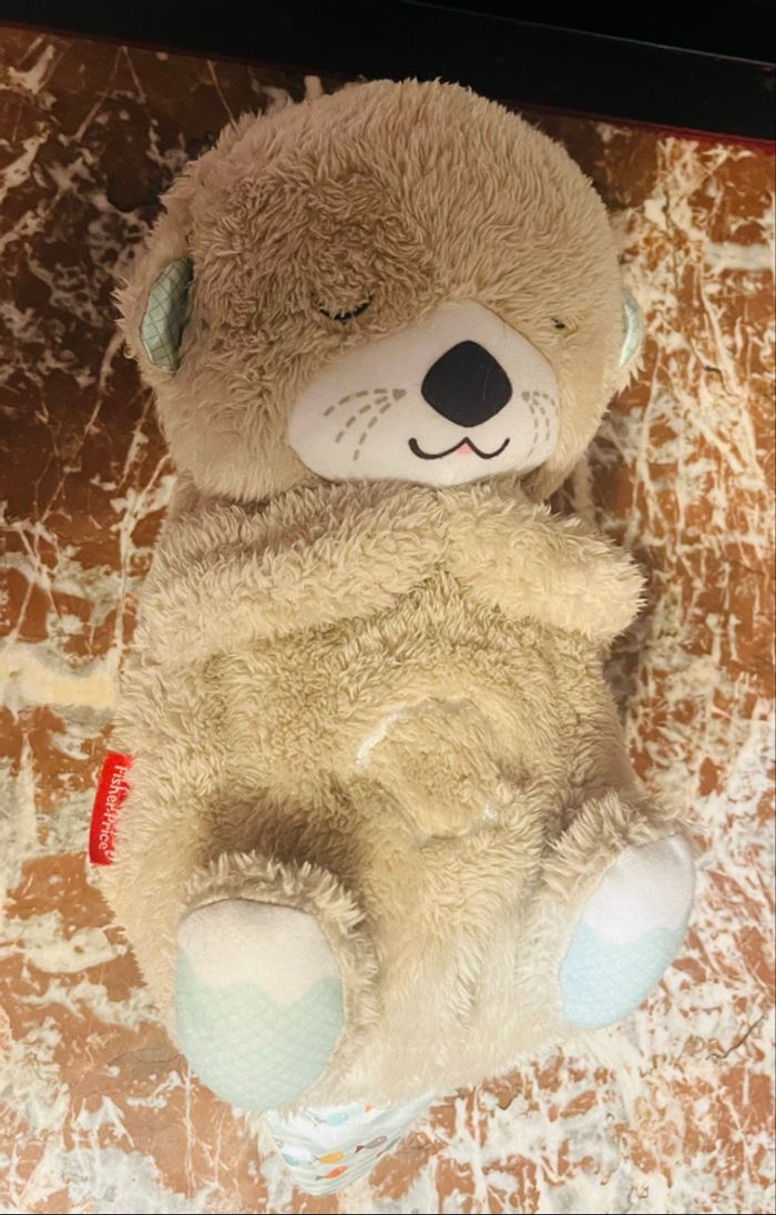 Loutre câline - photo numéro 5