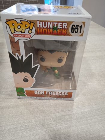 Funko pop gon freecss