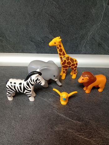 Lot animaux savane, zoo