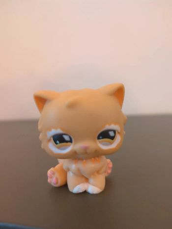 figurine pet shop chat