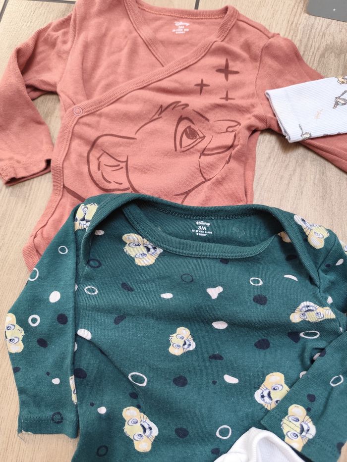 Bodys le roi lion - photo numéro 3