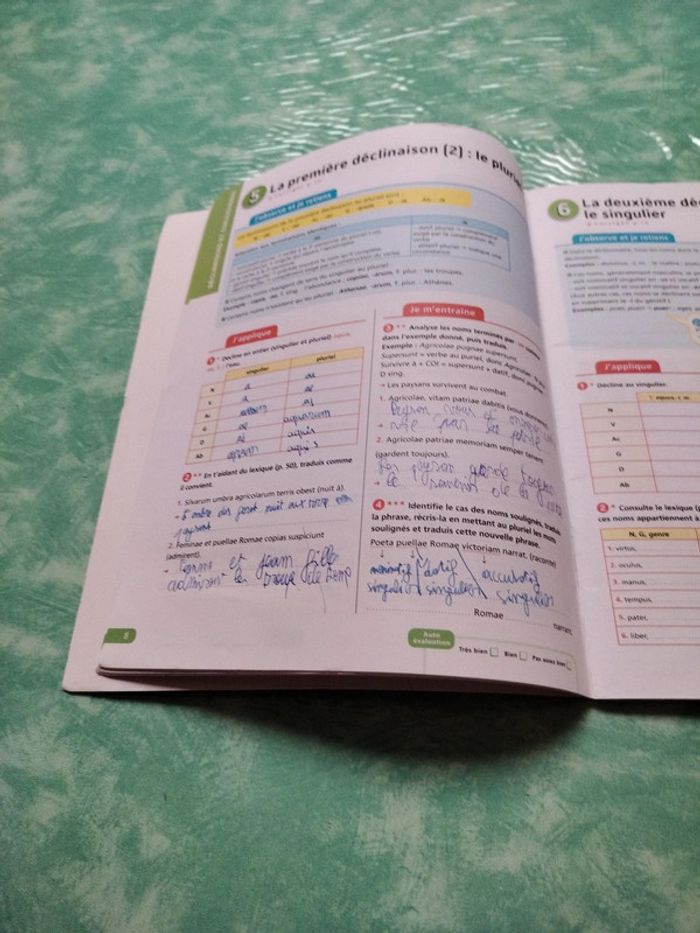 Latin - photo numéro 3