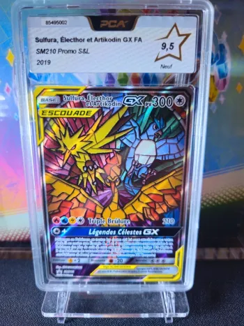 Sulfura, Electhor et Artikodin GX - PCA 9,5 - Promo ETB