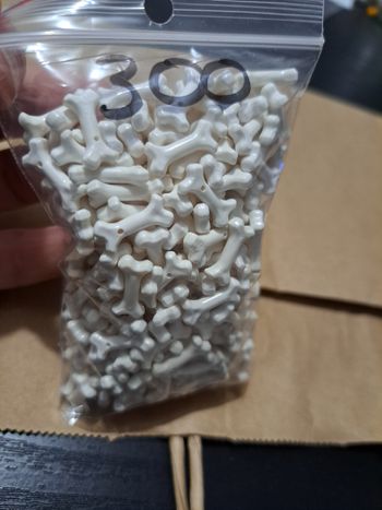 Lego lot de 300 petits os lego