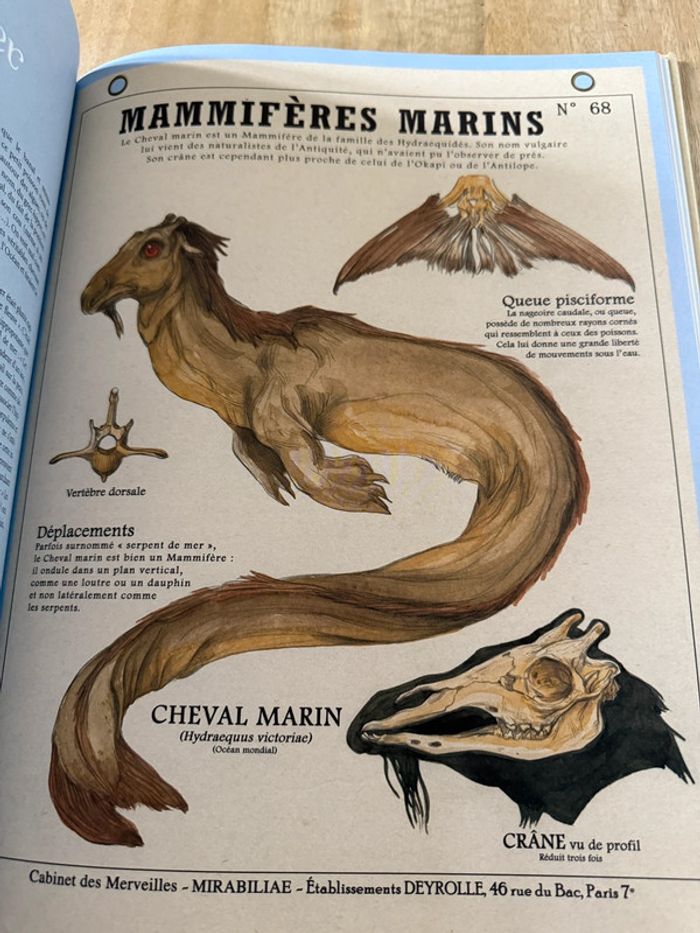 Plume de Carotte Créatures fantastiques Deyrolle livre grand album encyclopédie - photo numéro 9