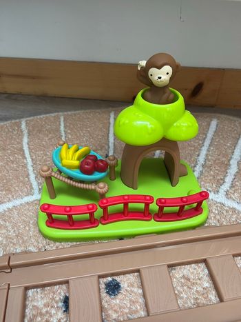 Circuit train safari 