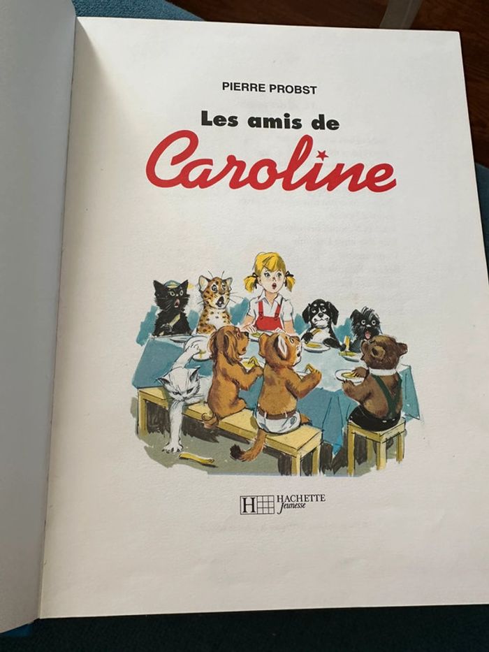 Grand album livre 156 pages Les Amis de Caroline Pierre Probst Hachette Jeunesse reliure bleu - photo numéro 3