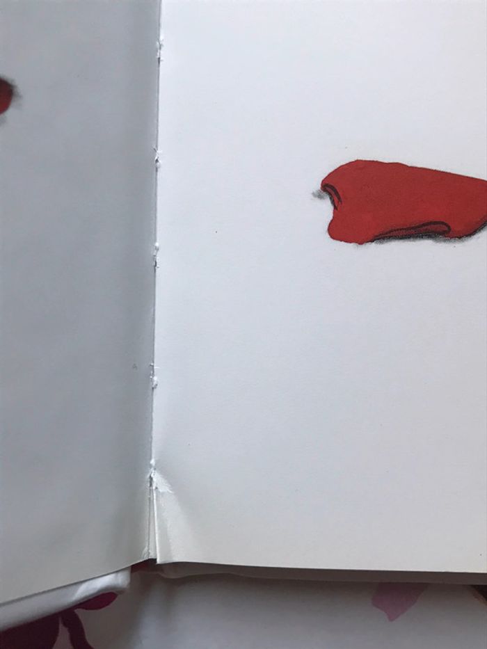 BD « Olivia » de Ian Falconer - photo numéro 3