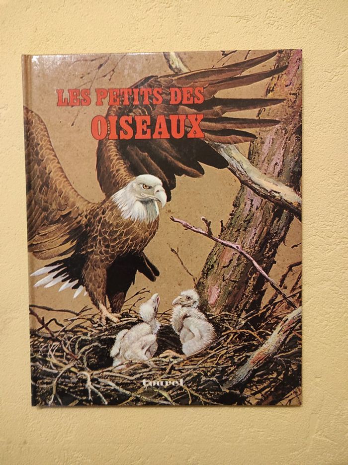 Les petits des oiseaux