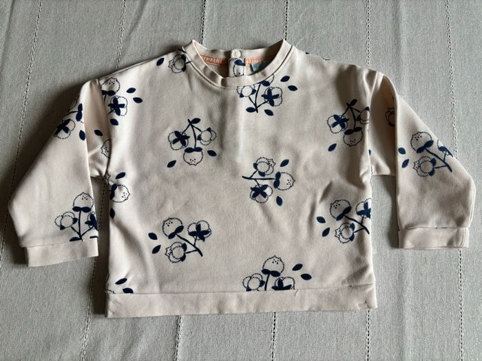 Obaïbi × Pull et ses 2 bandeaux, 18 mois  🐱 - photo numéro 2