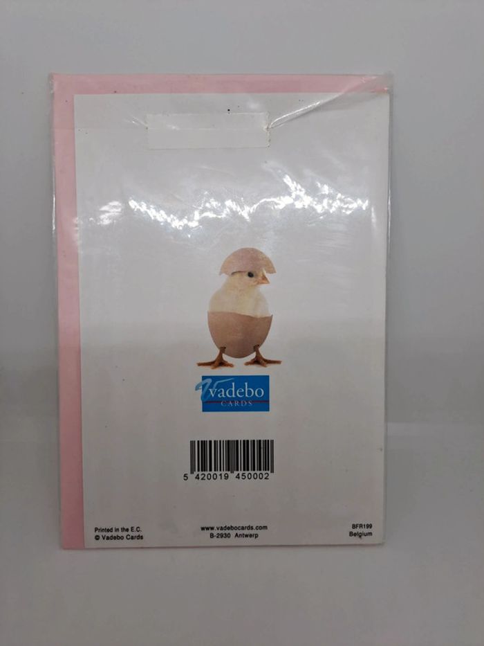 Carte postale avec son enveloppe.
11,5x17cm.
NEUVE. Poussins panier - photo numéro 2