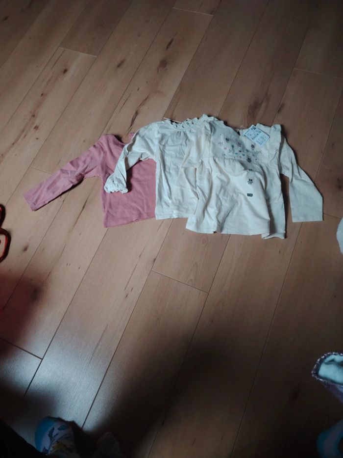 Lot 3 t-shirts manches longues 24 mois