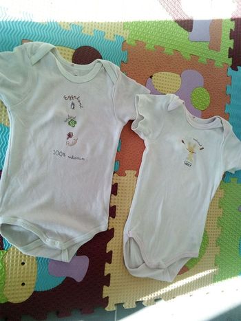 Lot de 2 bodies manches courtes en 18 mois