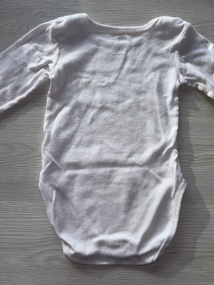 3 bodies, Tex, 3 ans - photo numéro 4