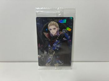 Twisted Wonderland Carte Collection 14 Card Vil Schoenheit